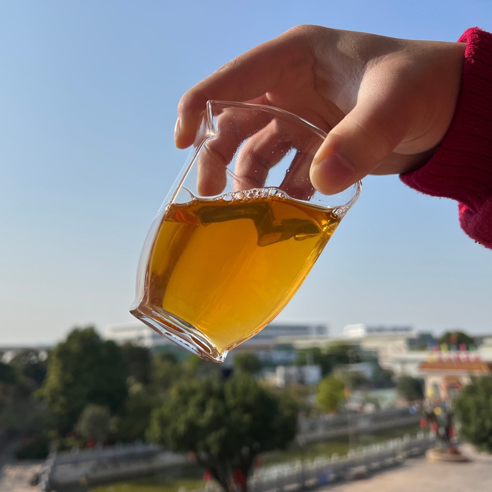 Tao Yuan Chun Shui Sheng Pu’er Tea - Fine Tea - zycs_China