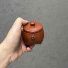 Tian Fang Di Yuan 170cc - Yixing Handmade Teapot 江苏宜兴