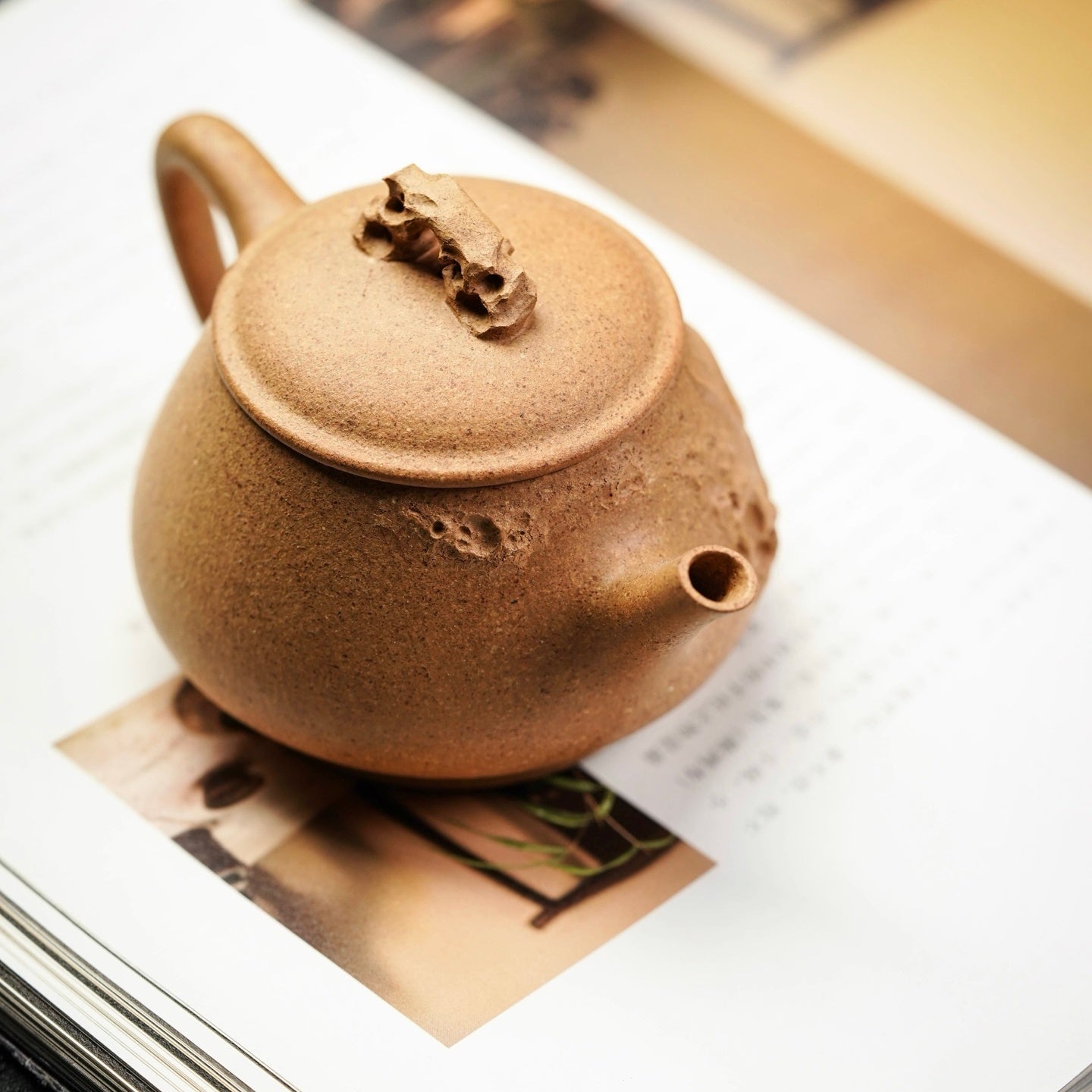 Ting Lian 190cc - Yixing Handmade Teapot - zycs_China - tea - teapot