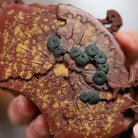 Ting Song 220cc - Yixing Handmade Teapot - zycs_China