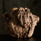 Ting Song Shen Kan - Wood Sculpture - zycs_China - tea - teapot