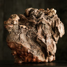 Ting Song Shen Kan - Wood Sculpture - zycs_China - tea - teapot