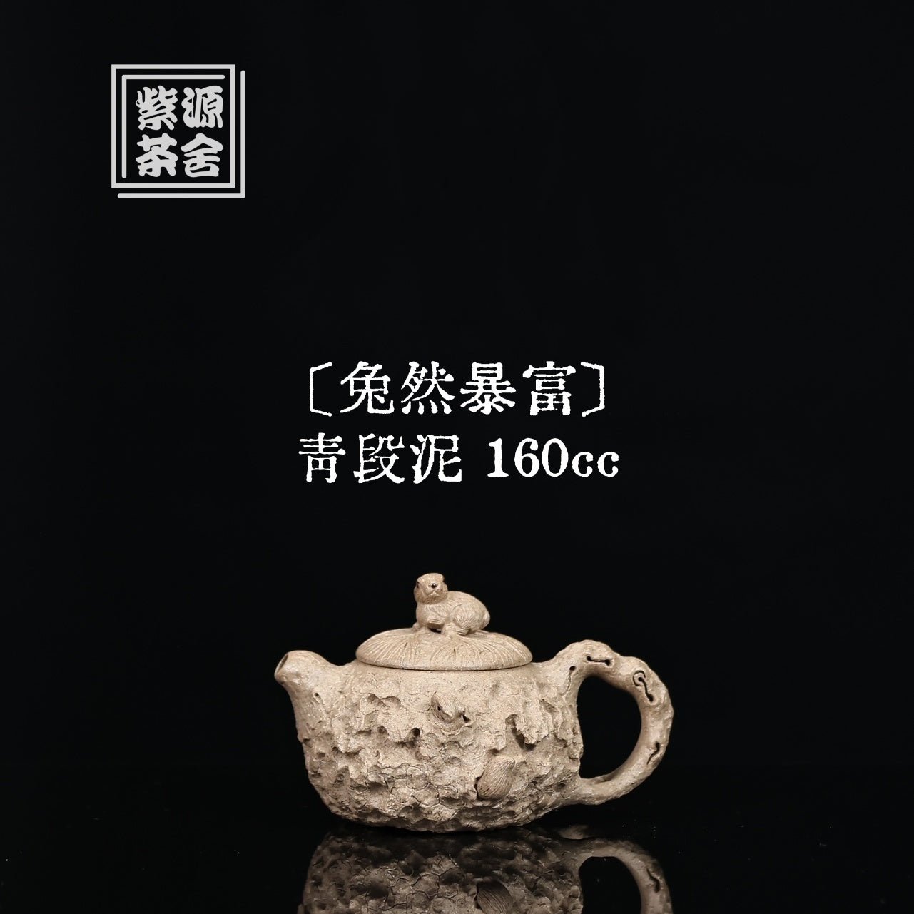 Tu Ran Bao Fu 160cc - Yixing Handmade Teapot - zycs_China