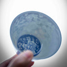 Wan Hua 110cc - Jing De Zhen Porcelain Gaiwan - zycs_China