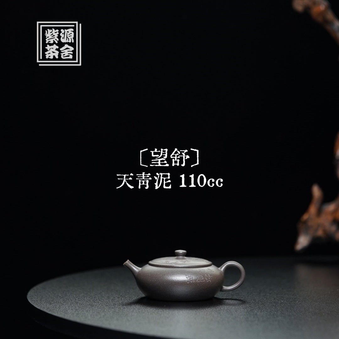 Wang Shu 110cc - Yixing Handmade Teapot - zycs_China