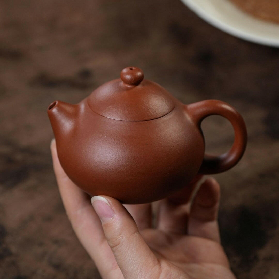 Wen Dan 150cc - Yixing Handmade Teapot - zycs_China
