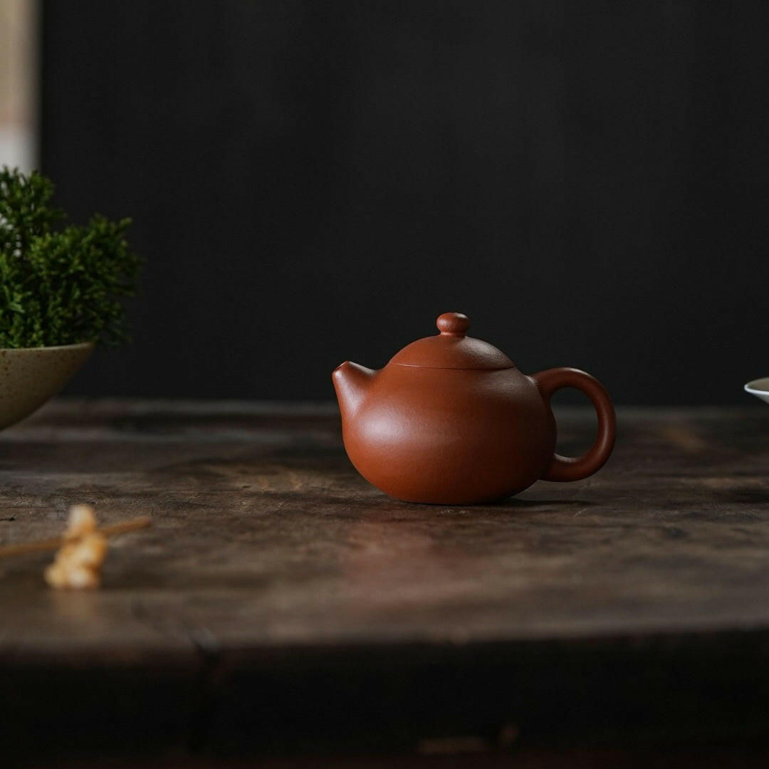 Wen Dan 150cc - Yixing Handmade Teapot - zycs_China