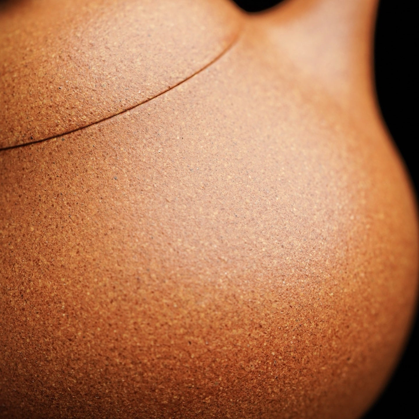 Wen Dan 180cc - Yixing Handmade Teapot - zycs_China