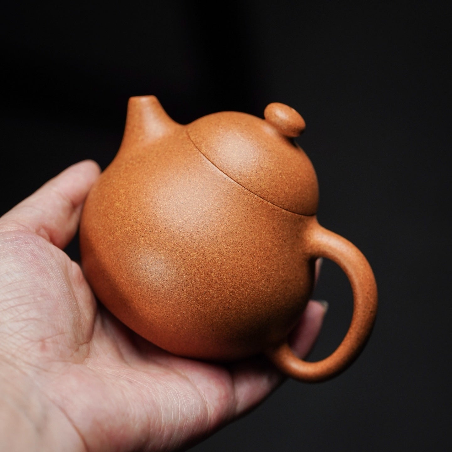 Wen Dan 180cc - Yixing Handmade Teapot - zycs_China