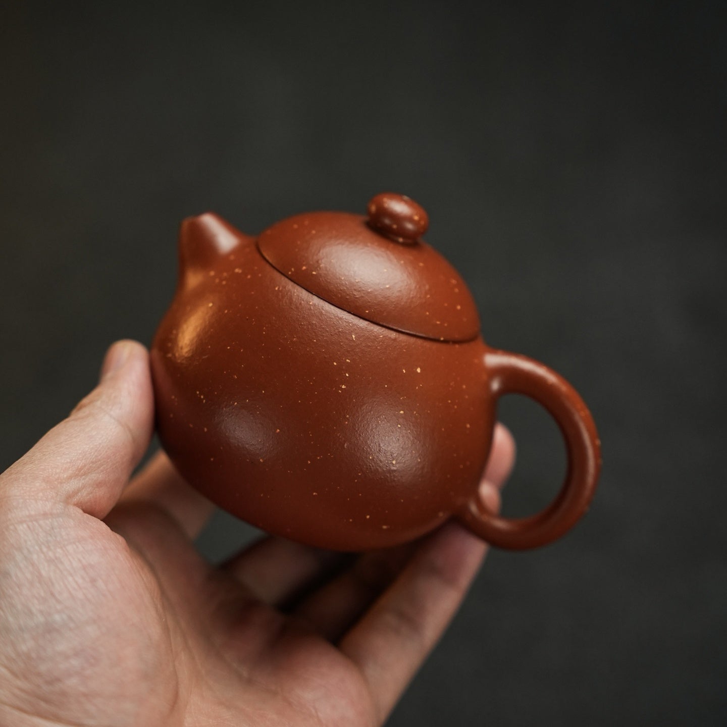 Wen Dan 220cc - Yixing Handmade Teapot - zycs_China