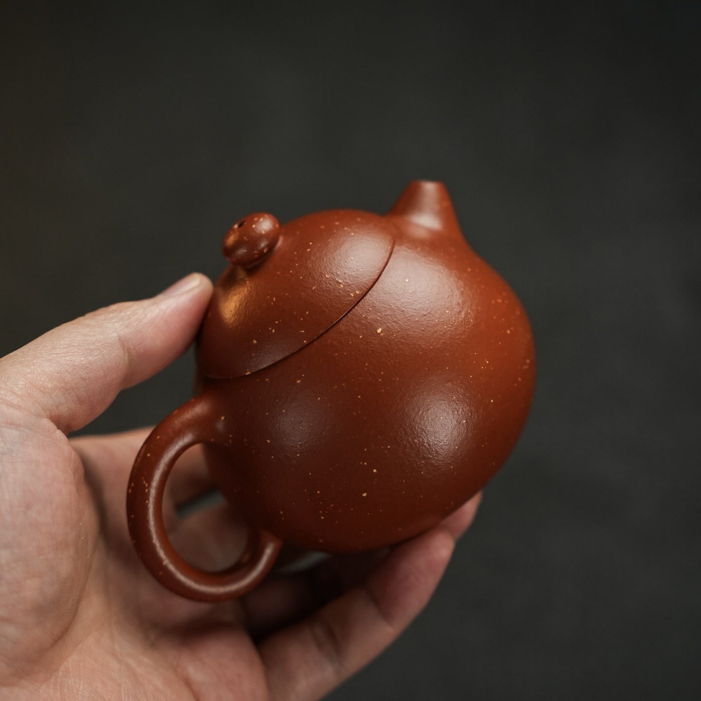 Wen Dan 220cc - Yixing Handmade Teapot - zycs_China