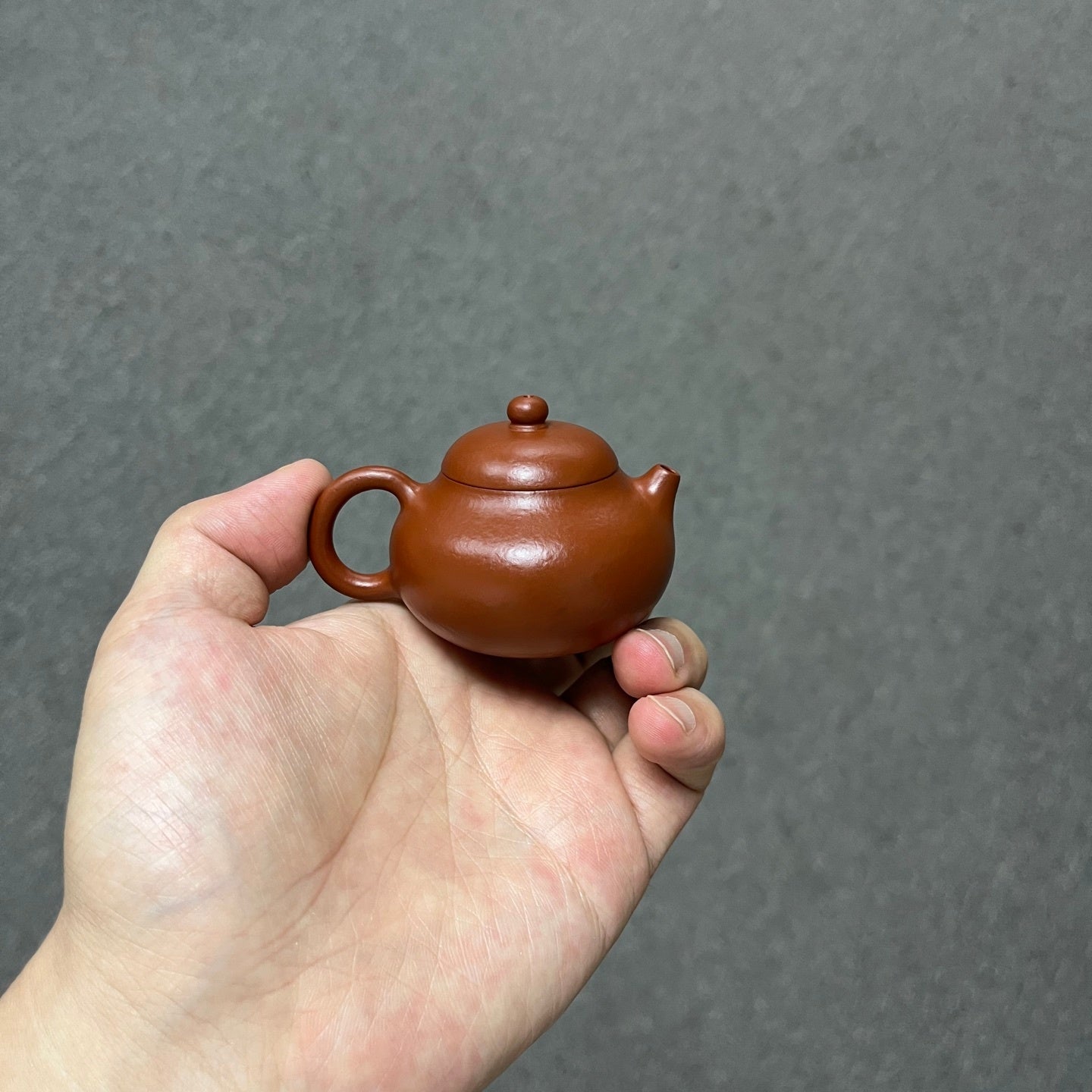 Wen Dan 60cc - Yixing Handmade Teapot - zycs_China
