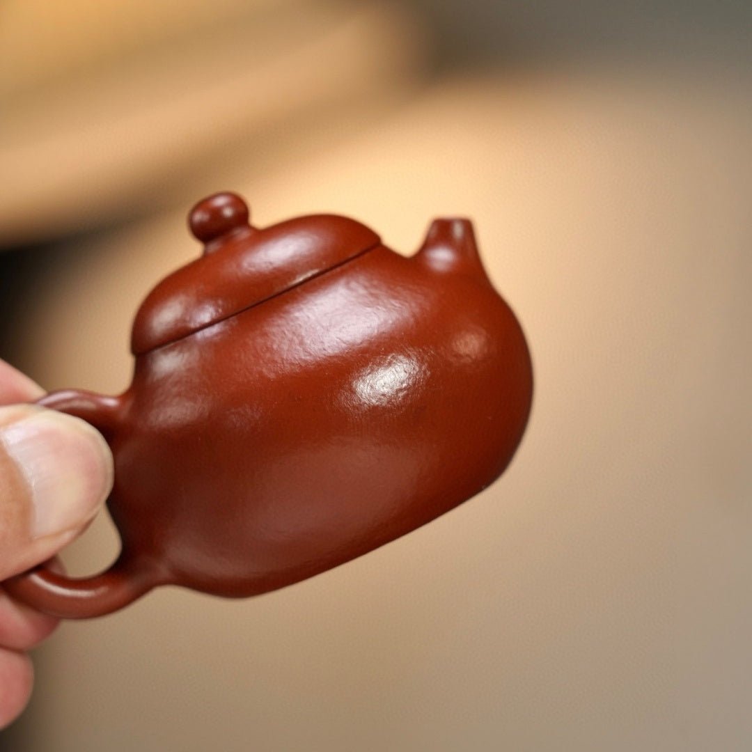 Wen Dan 60cc - Yixing Handmade Teapot - zycs_China