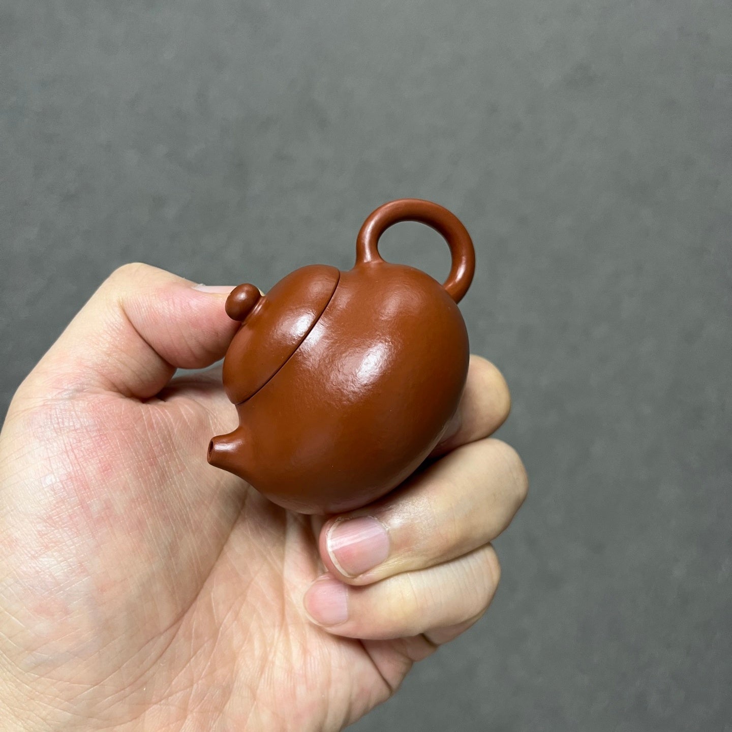Wen Dan 60cc - Yixing Handmade Teapot - zycs_China