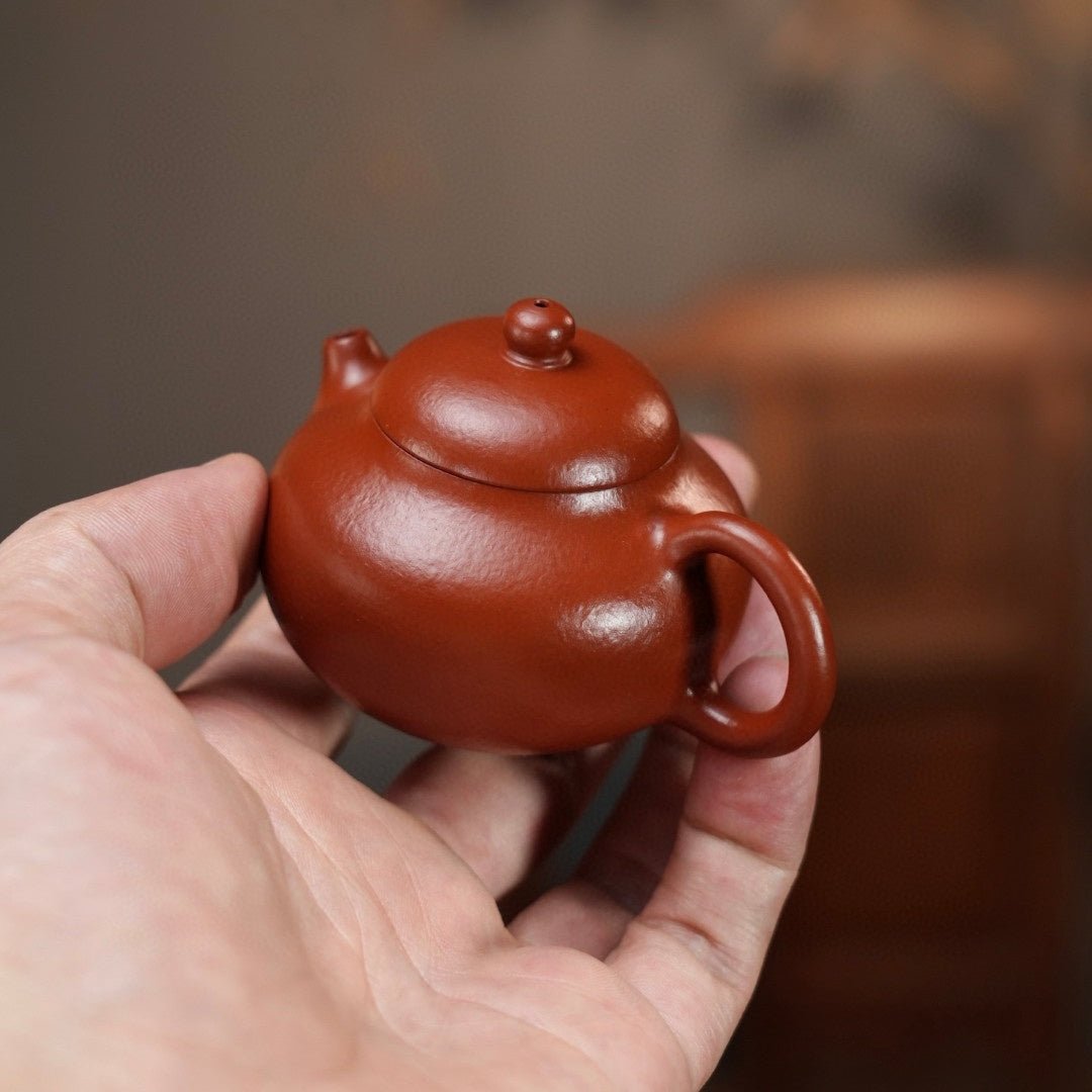 Wen Dan 60cc - Yixing Handmade Teapot - zycs_China