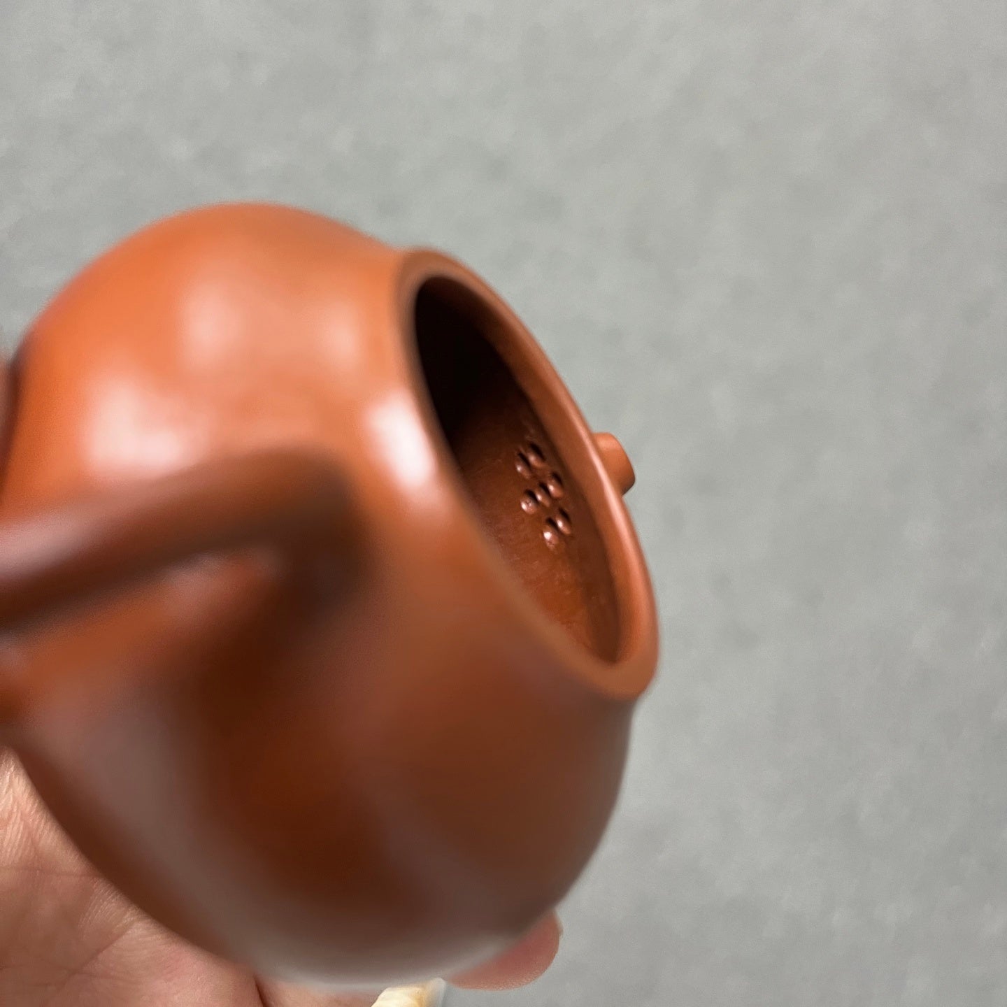 Wen Dan 60cc - Yixing Handmade Teapot - zycs_China