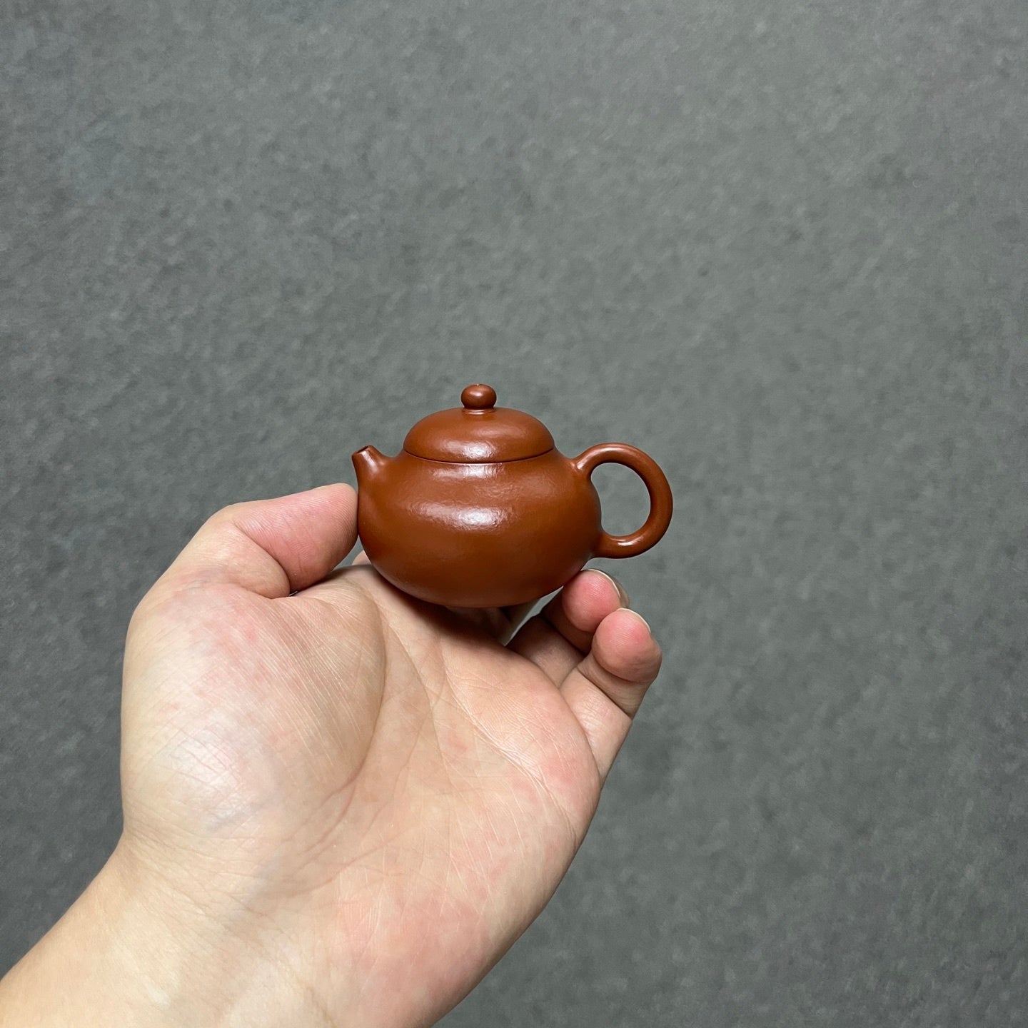 Wen Dan 60cc - Yixing Handmade Teapot - zycs_China