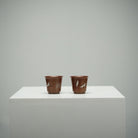 Wen Xiang Bei 50cc - Yixing Handmade Teacup - zycs_China