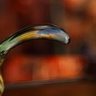 Cui Can Cha Hai(Mi Cui) 300cc - Glass fairness cup zycschina