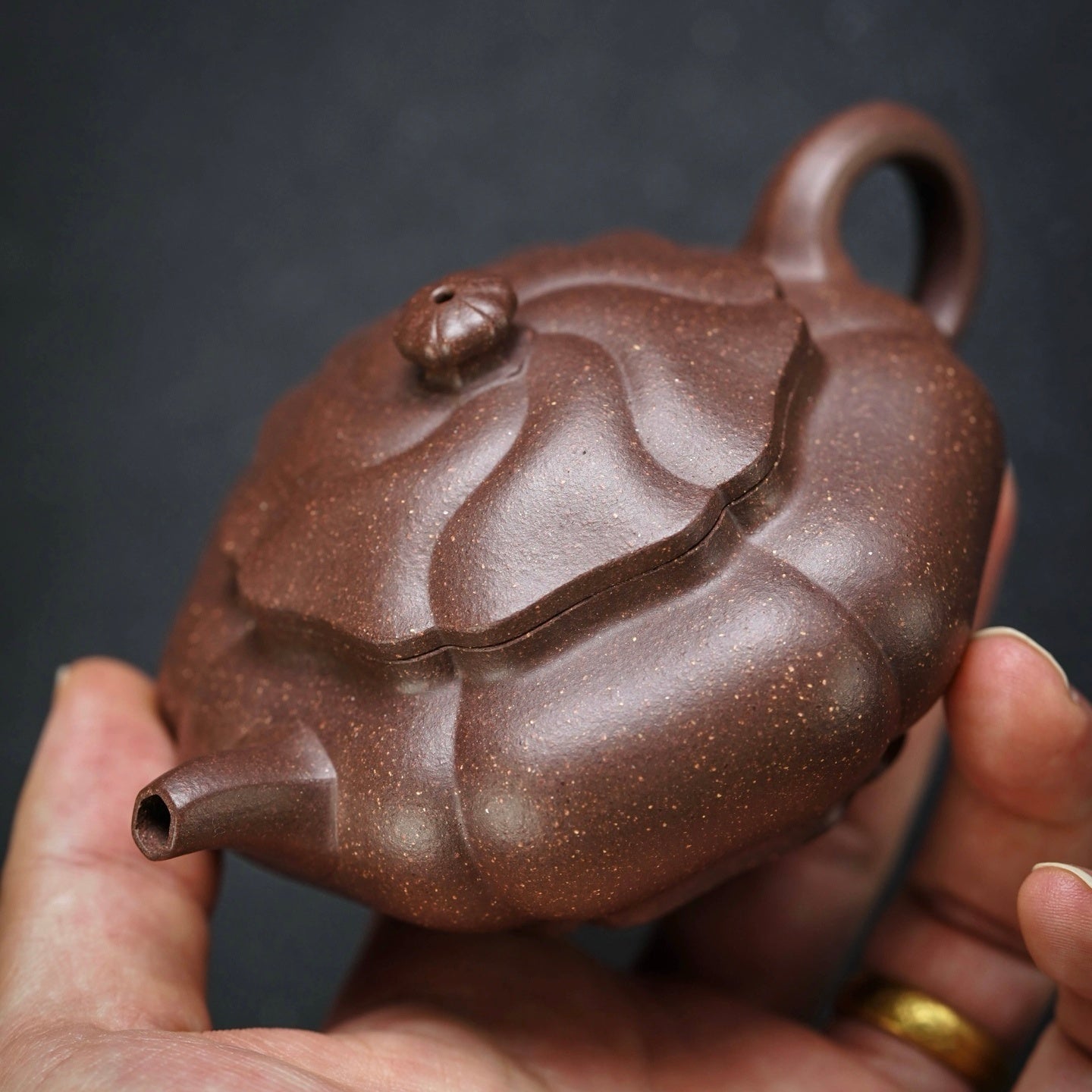 Wo Long Ju Shi 160cc - Yixing Handmade Teapot - zycs_China - tea - teapot