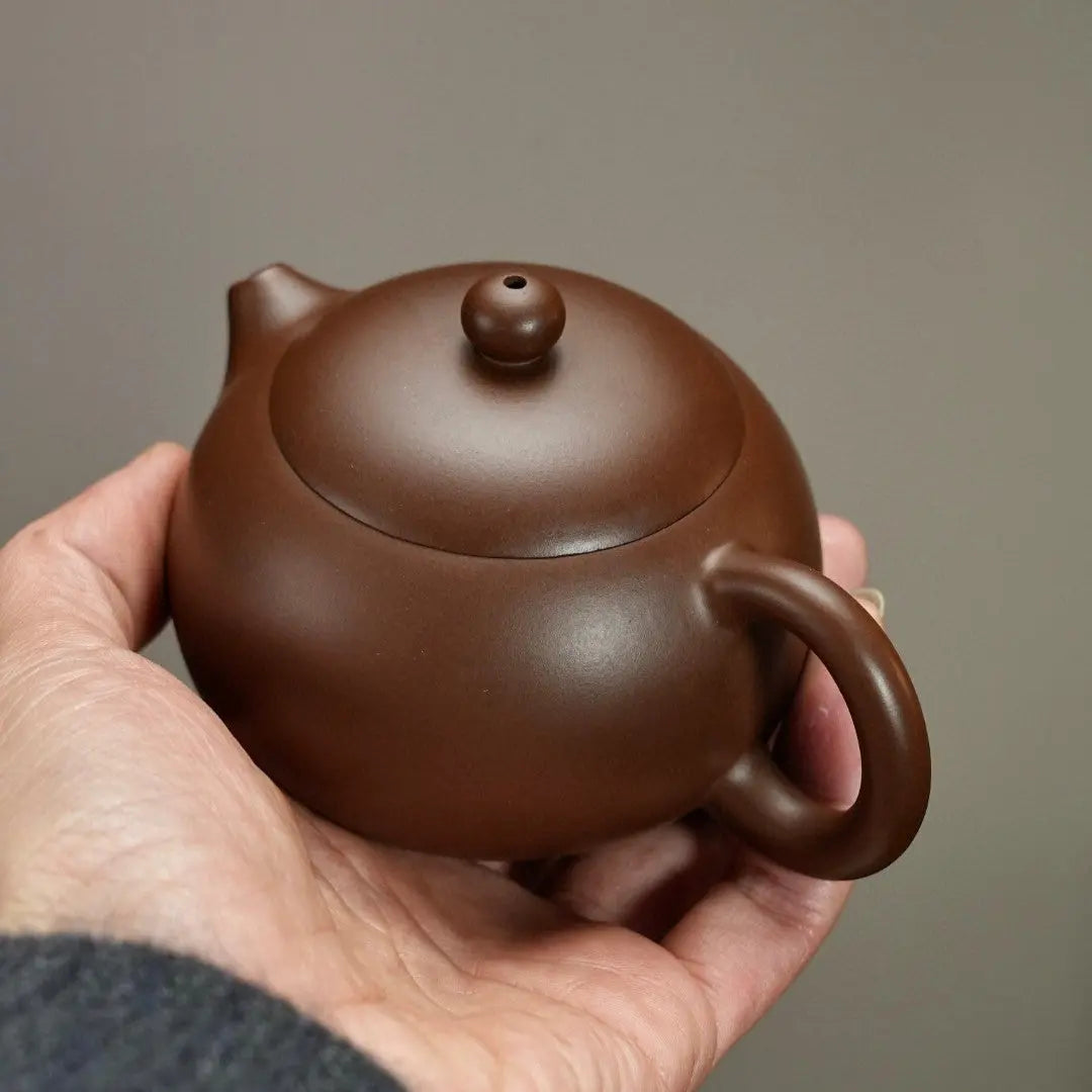 Xi Shi Teapot 200cc-Yixing Handmade Teapot 江苏宜兴