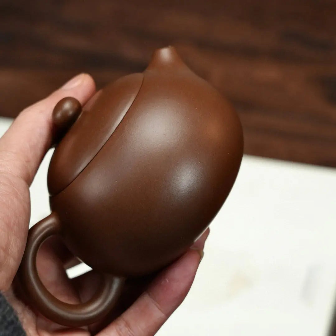 Xi Shi Teapot 200cc-Yixing Handmade Teapot 江苏宜兴