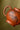 Nan Zhou Gao Shi 220cc -Yixing Handmade Teapot