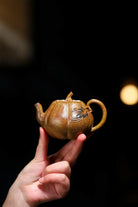 Nan Gua 150cc - Yixing Handmade Teapot 江苏宜兴