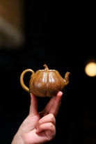 Nan Gua 150cc - Yixing Handmade Teapot 江苏宜兴