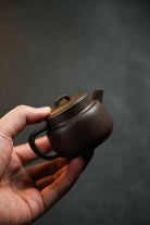 Xiao Man Tang 100cc - Yixing Handmade Teapot 江苏宜兴