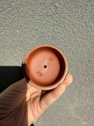 Xiu Lu 130cc - Yixing Handmade Teapot 江苏宜兴