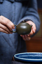 Xi Shi 110cc - Yixing Handmade Teapot 江苏宜兴