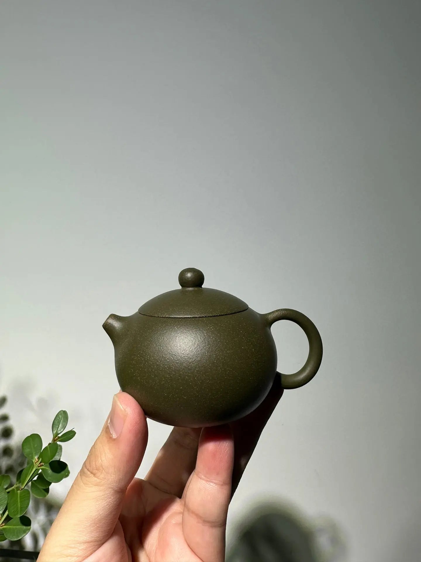 Xi Shi 110cc - Yixing Handmade Teapot 江苏宜兴