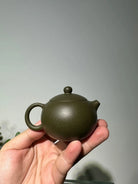Xi Shi 110cc - Yixing Handmade Teapot 江苏宜兴