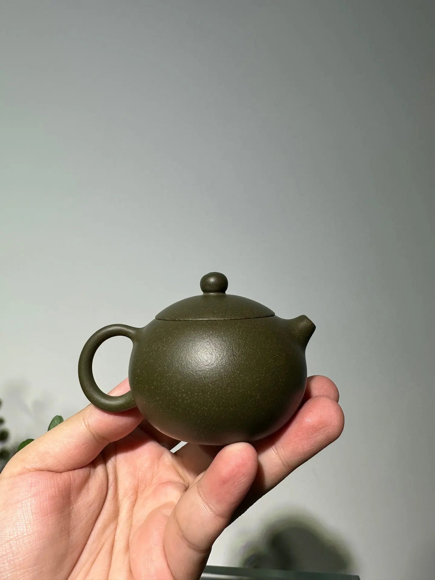 Xi Shi 110cc - Yixing Handmade Teapot 江苏宜兴