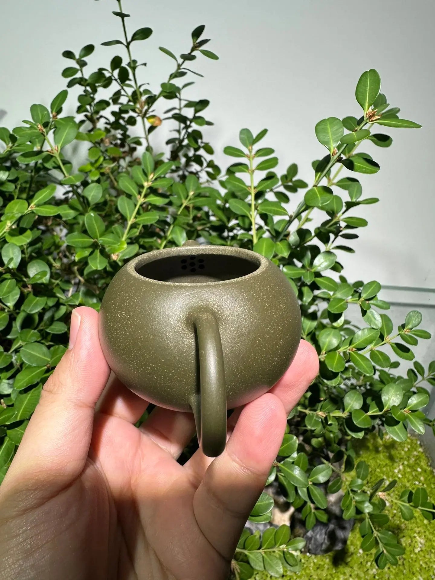 Xi Shi 110cc - Yixing Handmade Teapot 江苏宜兴