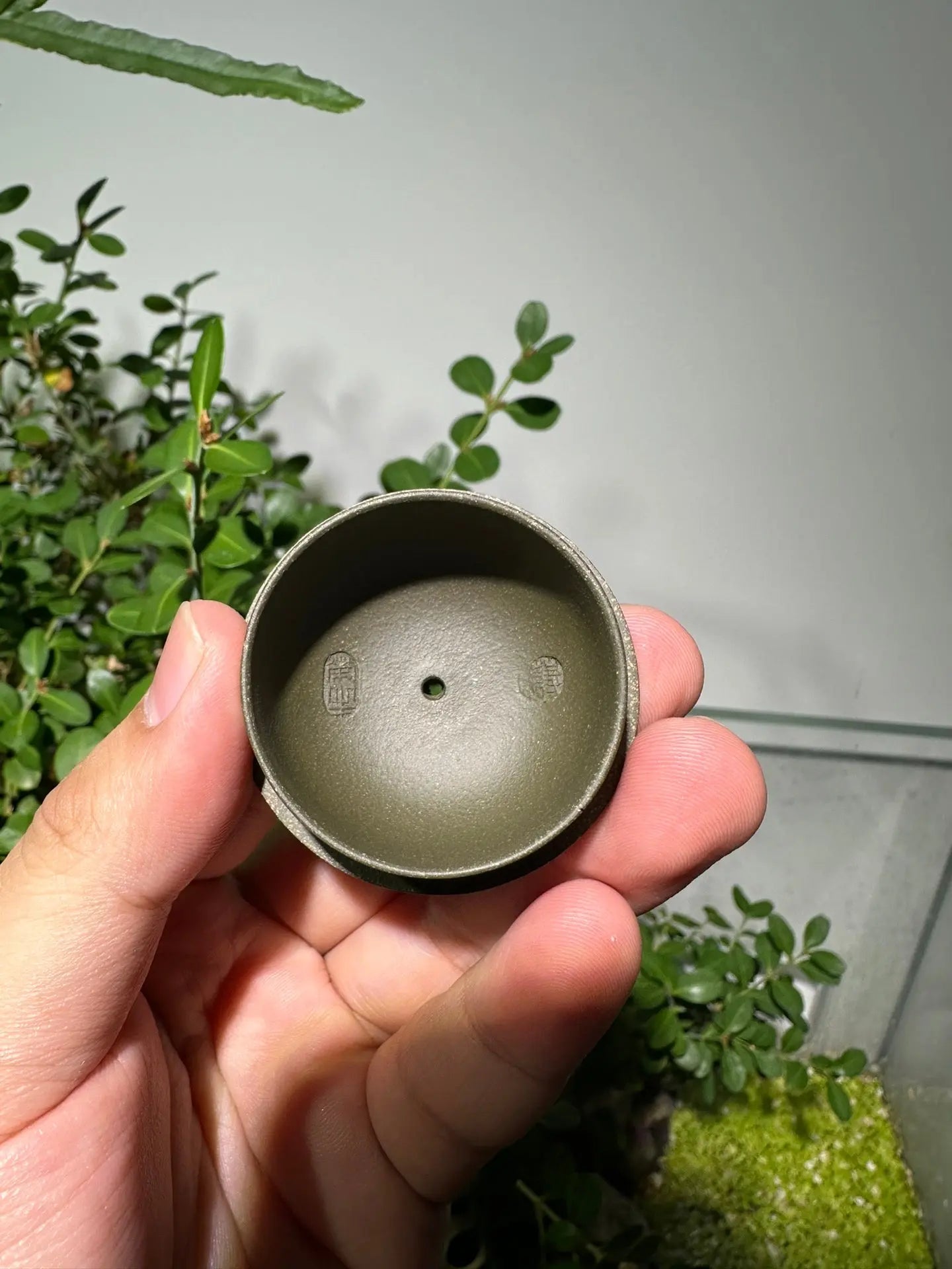 Xi Shi 110cc - Yixing Handmade Teapot 江苏宜兴