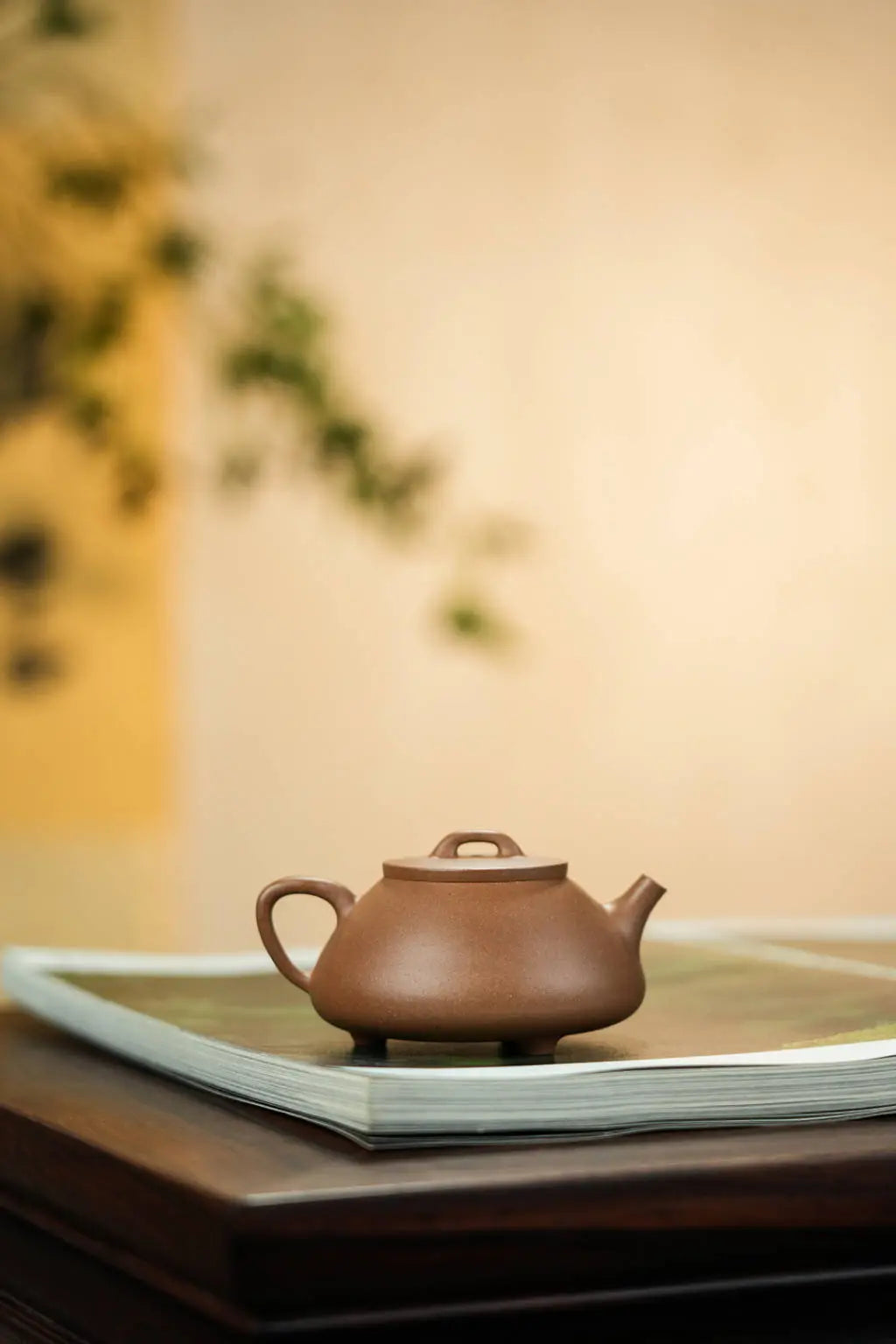 Na Piao 125cc - Yixing Handmade Teapot 江苏宜兴
