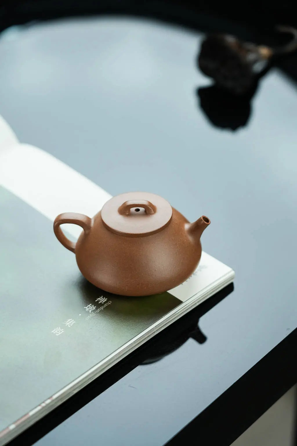 Na Piao 125cc - Yixing Handmade Teapot 江苏宜兴