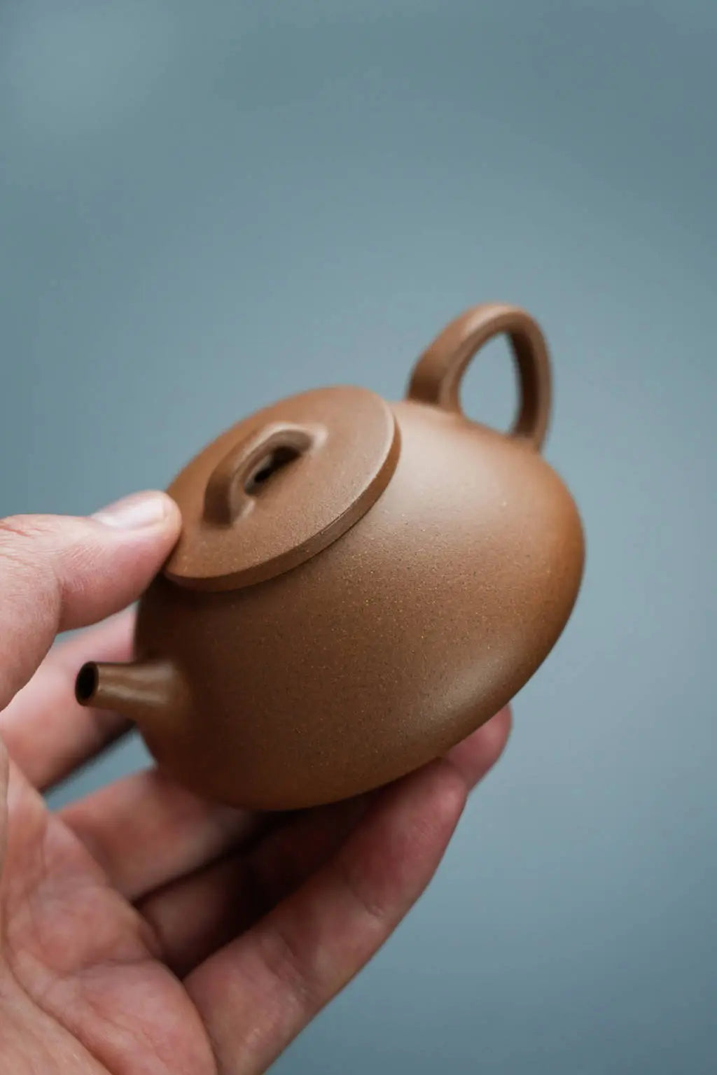 Na Piao 125cc - Yixing Handmade Teapot 江苏宜兴