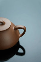 Na Piao 125cc - Yixing Handmade Teapot 江苏宜兴