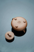 Na Piao 125cc - Yixing Handmade Teapot 江苏宜兴