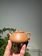 Na Piao 125cc - Yixing Handmade Teapot 江苏宜兴