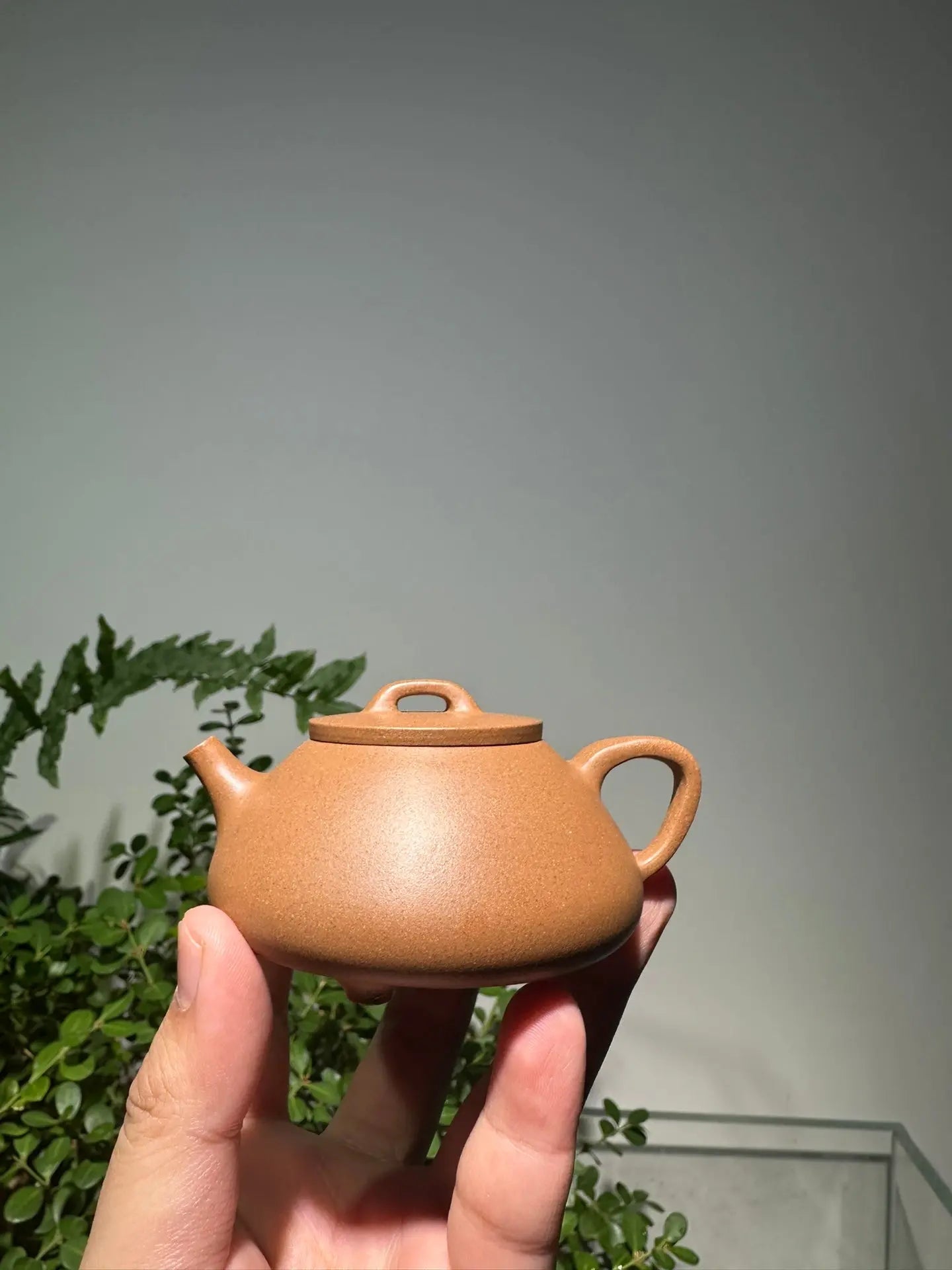 Na Piao 125cc - Yixing Handmade Teapot 江苏宜兴
