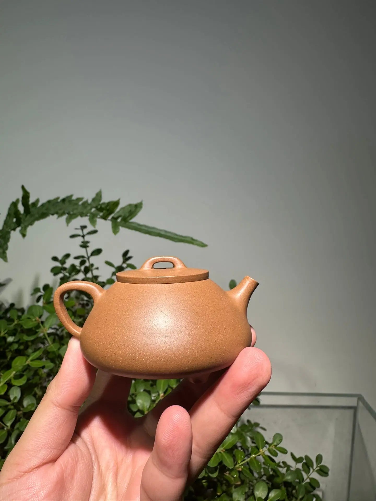 Na Piao 125cc - Yixing Handmade Teapot 江苏宜兴