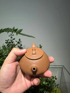 Na Piao 125cc - Yixing Handmade Teapot 江苏宜兴