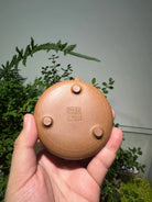 Na Piao 125cc - Yixing Handmade Teapot 江苏宜兴