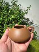 Na Piao 125cc - Yixing Handmade Teapot 江苏宜兴