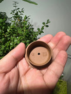 Na Piao 125cc - Yixing Handmade Teapot 江苏宜兴