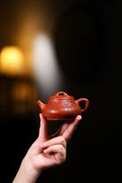 Yun Piao 170cc - Yixing Handmade Teapot 江苏宜兴